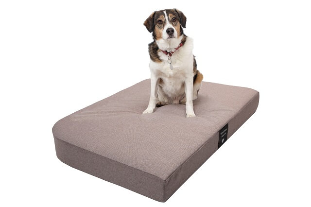 Hundematte Medical hellbraun